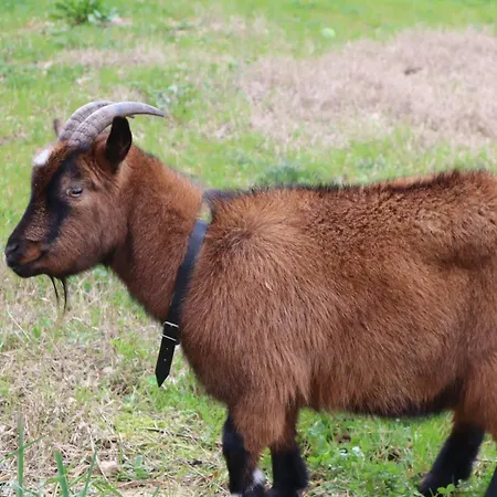 Luxury Private Free Play Park Inc Quid Bikes Private Heated Swimming Pool Apartment *