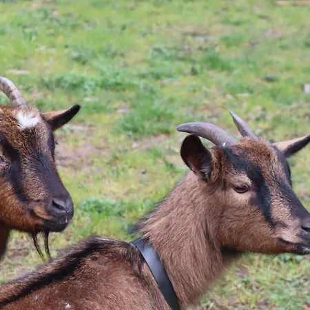 Luxury Private Free Play Park Inc Quid Bikes Private Heated Swimming Pool Apartment