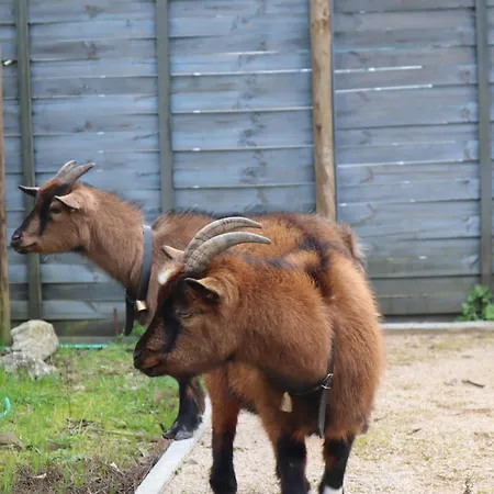 Luxury Private Free Play Park Inc Quid Bikes Private Heated Swimming Pool Apartment *