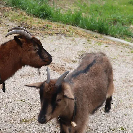 Luxury Private Free Play Park Inc Quid Bikes Private Heated Swimming Pool