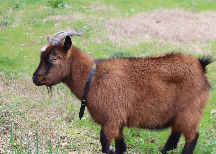 Luxury Private Free Play Park Inc Quid Bikes Private Heated Swimming Pool Apartamento *