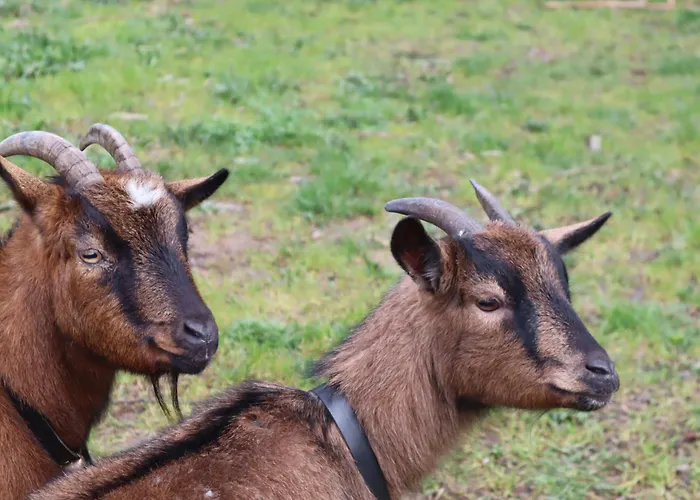 Luxury Private Free Play Park Inc Quid Bikes Private Heated Swimming Pool Apartamento