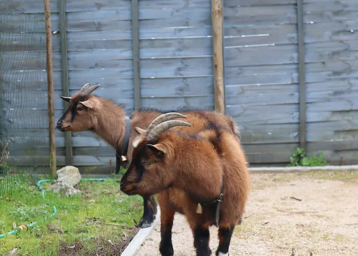 Luxury Private Free Play Park Inc Quid Bikes Private Heated Swimming Pool Apartamento *