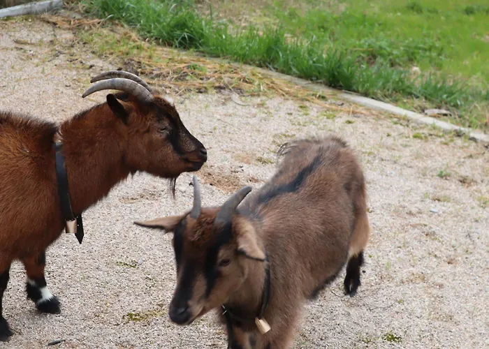 Luxury Private Free Play Park Inc Quid Bikes Private Heated Swimming Pool